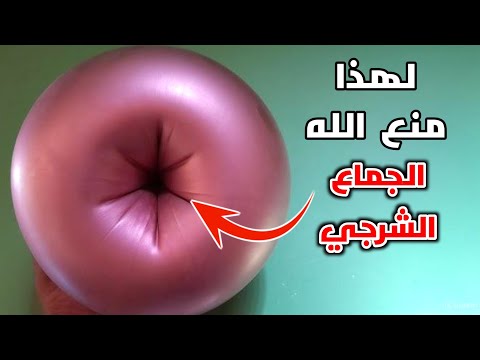 شاهد لماذا حرم الله الجماع من فتحة الشرج