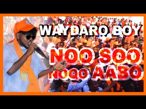 WAYDARO BOY NOO SOO NOQO AABO AABO FRUD CONGRÉS OFFICIAL VIDEO RTD MUSIC PRODUCTION 2025
