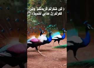 ل ئ ن ش ك ر ت م ل أ ز يد ن ك م و ل ئ ن ك ف ر ت م إ ن ع ذ اب ي ل ش د يد ابلور المصحف