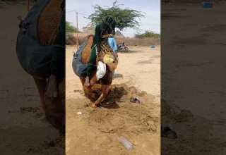 ج م ل ع ال ق ف ي الر م ال و ح م ل ي ث ق ل ك اه ل ه