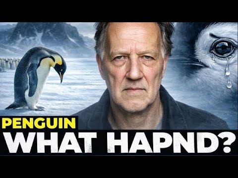 Pinguin Deprimiert Aber Warum Viral Pinguin