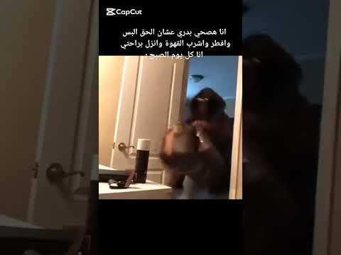 انا هصحي بدري عشان الحق البس وافطر واشرب القهوة وانزل براحتي انا كل يوم الصبح