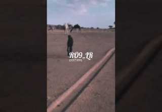 رهين المحبة