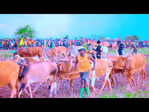 Ndama Songi Ntabhaji Part 2 Official Video