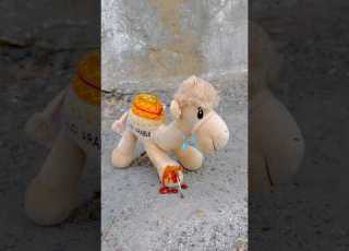 Cute Camel Crying