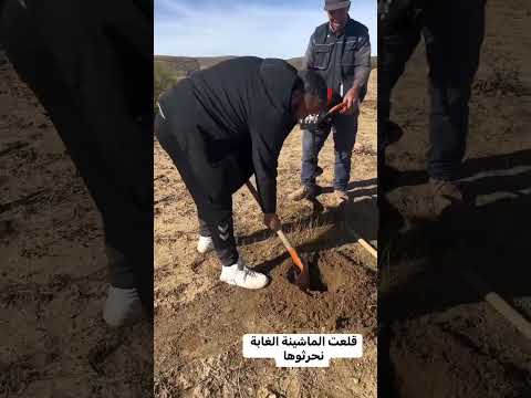 قلعت الماشينة يا بابا الغابة نحرثوها و الجزائر الخضراء لن تتوقف أبدا بحول الله فأبشروا قلعت الماشينة يا بابا الغابة نحرثوها و الجزائر الخضراء لن تتوقف أبدا بحول الله فأبشروا