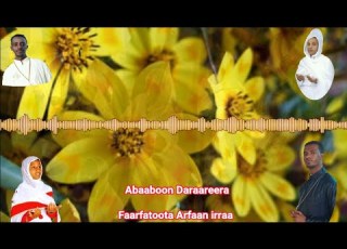  Faarfannaa Bara Haraa Abaaboon Daraareera Faarfatoota Afraan Irraa Ethiopia New Year Afaan Oromo