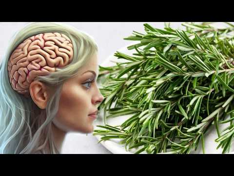 Habit Mjeku Kjo është Bima Që Përmirëson Kujtesën Me 75 Ja Si Ta Përdorni