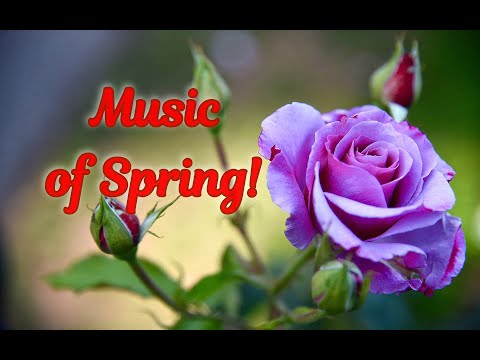 MUSIC OF SPRING THE MOST BEAUTIFUL MUSIC BY SERGEY GRISCHUK MUSIC OF LOVE