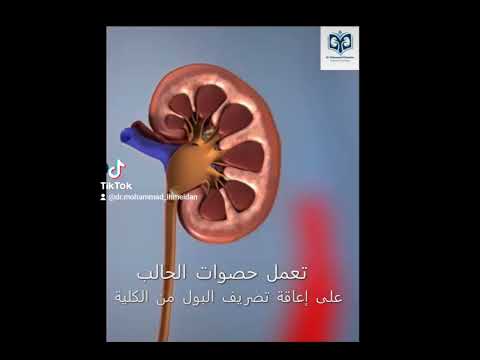 الدعامة الحالبية قسطرة الحالب التي غيرت عمليات المسالك للأبد الدعامة الحالبية قسطرة الحالب التي غيرت عمليات المسالك للأبد