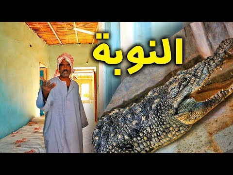 Aswan حضارة النوبة شعب مميز وتماسيح في البيوت