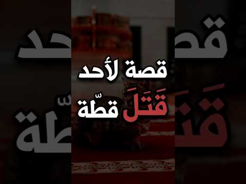 قصة لأحد قتل قطة الشيخ عبد الرزاق البدر الشيخ عبد الرزاق البدر