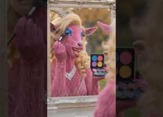 What A Makeup Shorts Shortsfeed