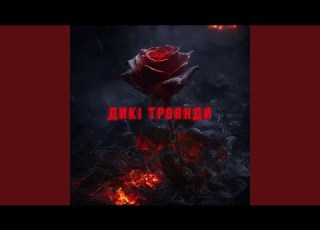 Дикі троянди