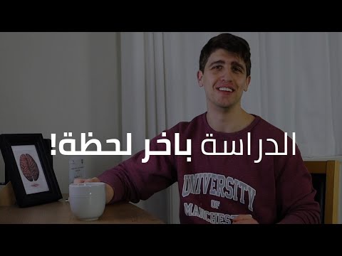 كيف تدرس لساعات طويلة بتركيز عالي حسب علم الاعصاب