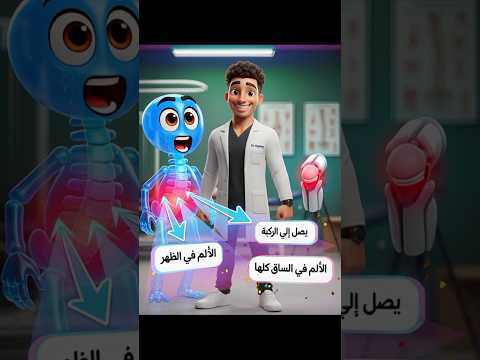 العصب يحكي عن الألم من الظهر للركبة اكتشف السبب والتمرين لحل المشكلة الم الظهر الم الركبة تمارين