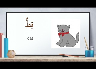  Animal Names In Arabic And English حيوانات للاطفال باليزي و العربية