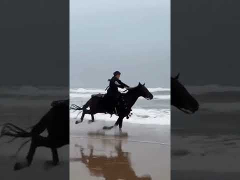 موسيقى هيبه هذه معناالثقه بانفسك