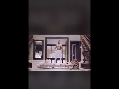 يحين فين ده انا الملك