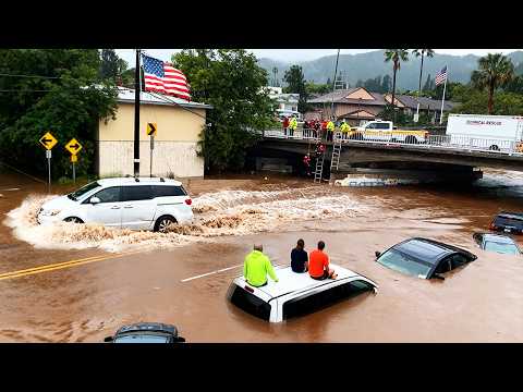 Hawaii Im Chaos Massive Sturzfluten überschwemmen Straßen Und Autos Auf Oahu Und Maui Nach Dem