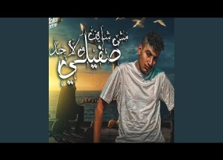 مش شايف ولا حد صفيلي