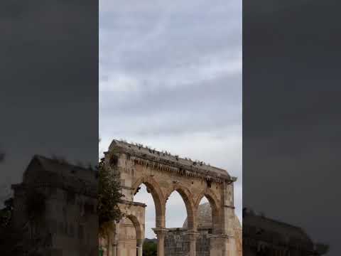 سكنتم فؤادي ورب العباد المسجد الأقصى القدس