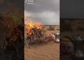 اجواء بدويه رائعه