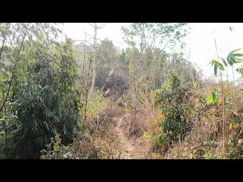 Napak Bolchugre East Garo Hills Meghalaya Napak Bolchugre East Garo Hills Meghalaya