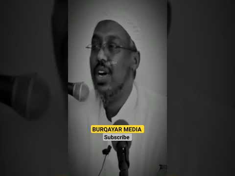 Shekh Mustafa Xaaji Ismaciil