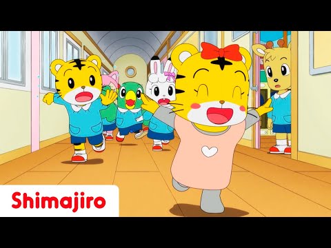 Hanna Goes To School Back To School Special Episode Compilation Shimajiro