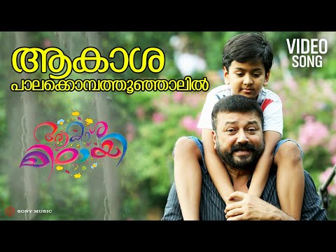 Aakaasha Palakombathu Video Song Aakashamittayee Jayaram Kalabhavan Shajohn Dev Akash