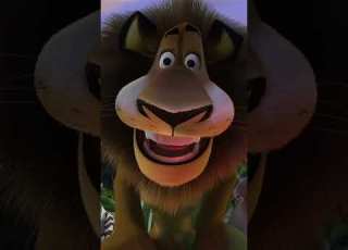 Mort Is Scared Madagascar Animal Friends