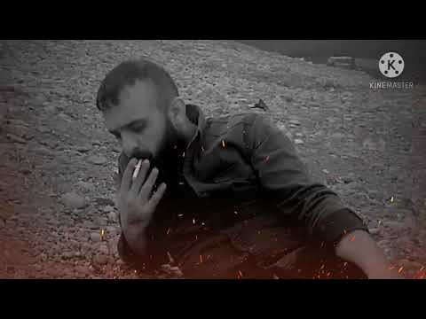 ياماخدين الولف ولفي واريده أبورمضو الكياري ياماخدين الولف ولفي واريده أبورمضو الكياري