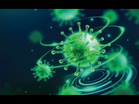 Ahmed Almheiri Session IV DSSYK Emergence Of A Bulk χ