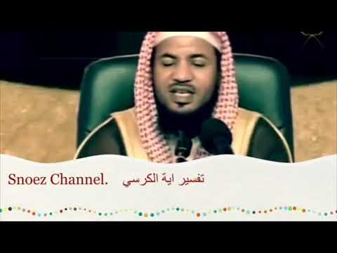 قصه د او د عليه السلام مع الدوده الشيخ محمد الشنقيطى