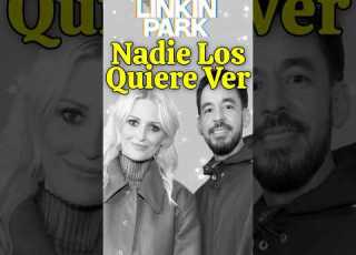 Hay Problemas Con Linkin Park Linkinpark Slipknot Avengedsevenfold Fyp Rock LinkinPark