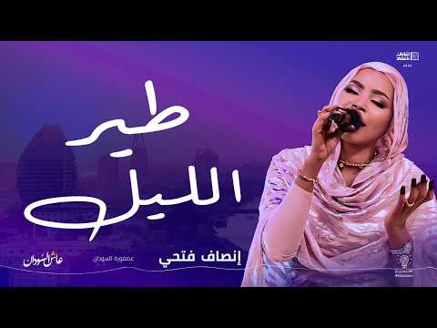 إنصاف فتحي طير الليل أغاني و أغاني 2026