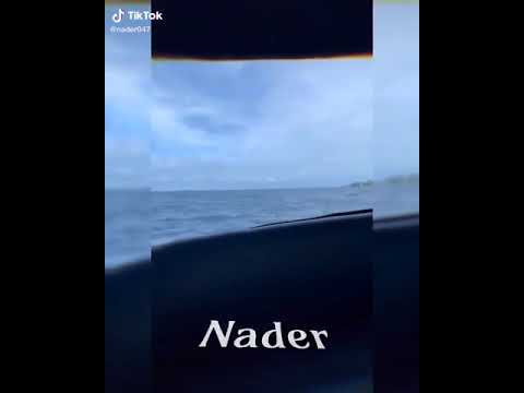 حلات واتس اب جديده جميله علي اغنية حبيبك بي الاسم وي خلاص يلا نفسي اوصل لي 100اشتراك