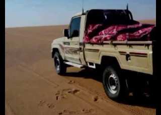  الدمناني الصقور اليامي