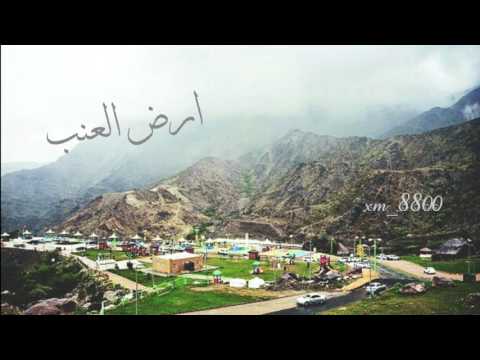 خطوه جنوبيــة ارض العنــب 2017