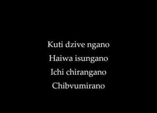 Jah Prayzah Mdhara Vachauya Lyrics
