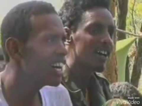 هجرة النور مرحى