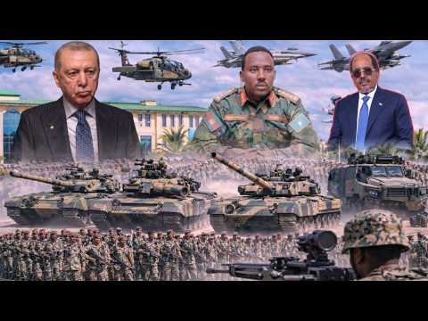 Die Wichtigsten Neuigkeiten Aus Somalia Welt 13 03 2026