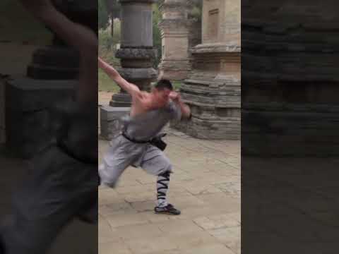 Shaolin Tiger Form Kung Fu In The Pagoda Forest