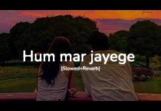 Hum Mar Jayenge Slowed Reverb Arijit Singh Tulsi Kumar 