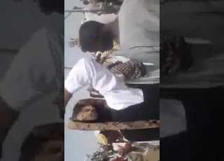 النفيدية في يوم تنصيب الناظر مبارك حسن ود المنشور والأمير الطيب الامام جودة الشيخ تاي الله النفيدي