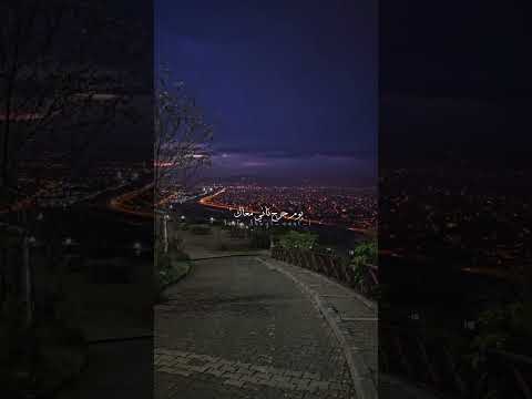 إليسا Elissa إنسانة بريئة اليسا اليسا الجديد حالات واتس اغاني