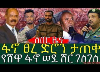 የሸዋ ፋኖ አንድነት ተበሰረ የዛሬ የአማራ ፋኖ የግምባር መረጃ ፋኖ ፀረ ድሮን መሳሪያ ታጠቀ