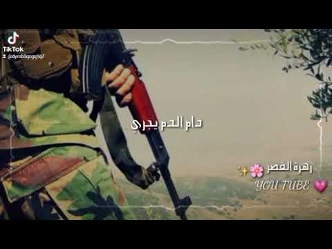 النعيمي 515 سني ولي الفخر سني