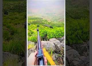  ڈنگر بندوق Shorts Gun Youtubeshorts